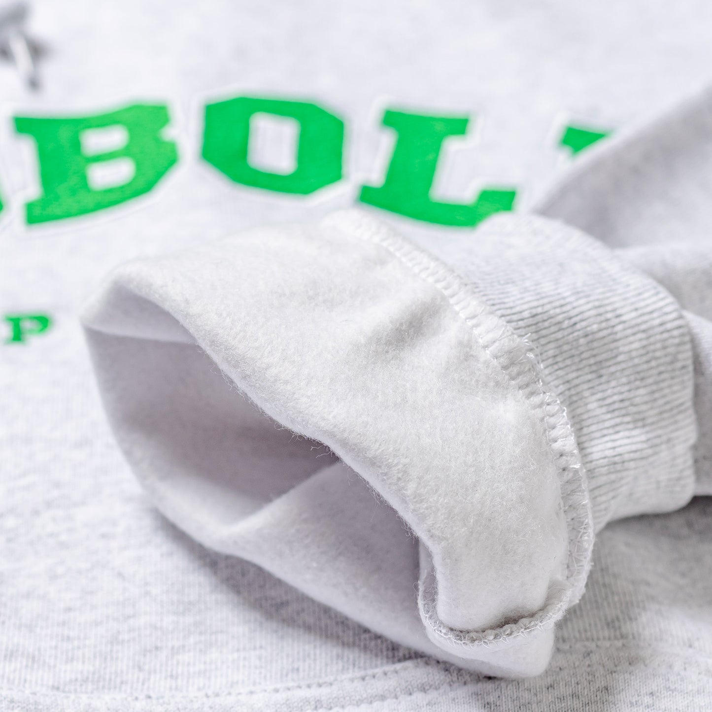 EZOBOLIC College Logo Hoodie