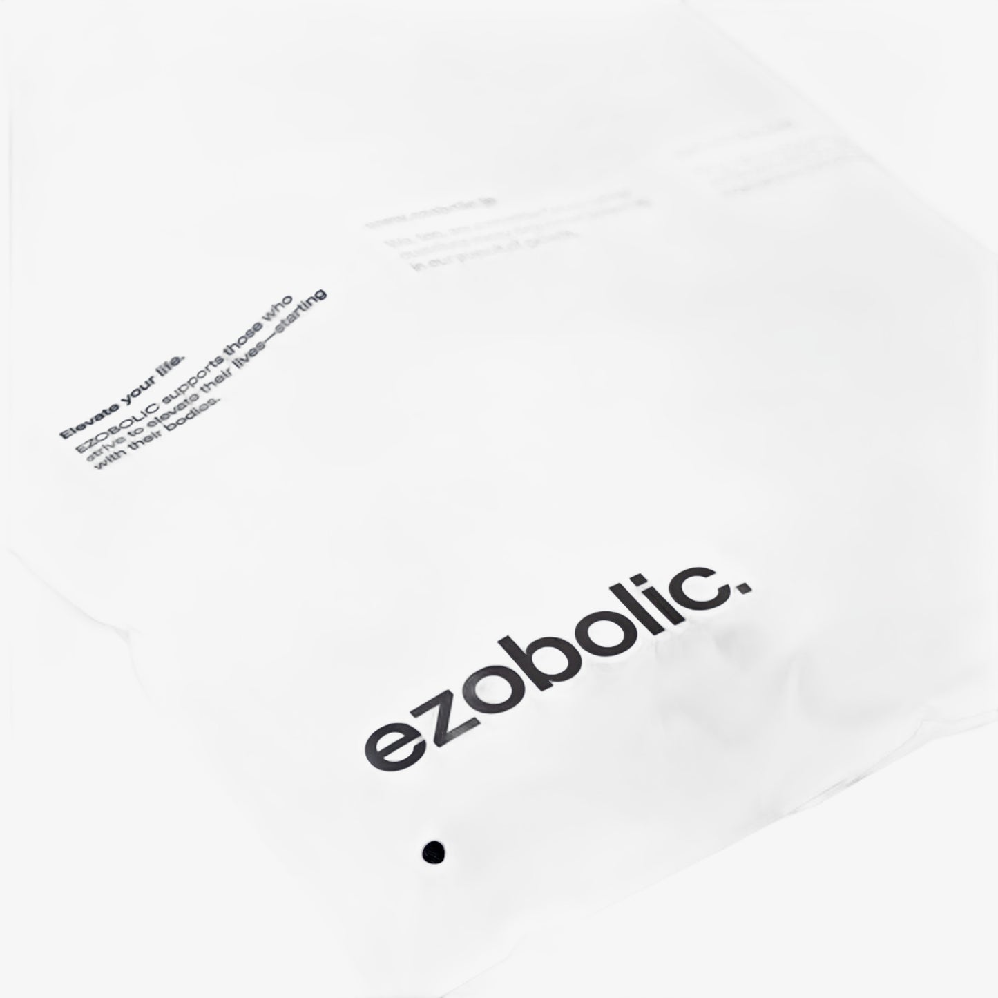 EZOBOLICStitchTote カレッジロゴver.
