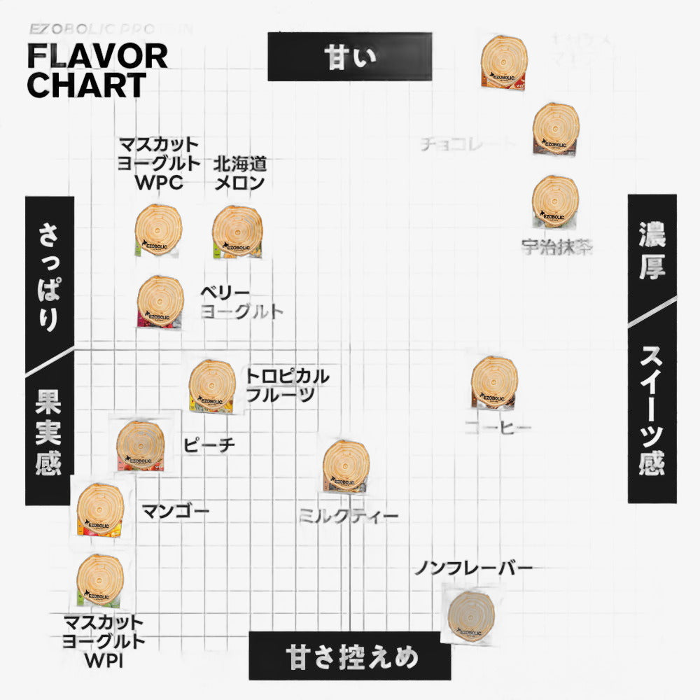 EZOBOLICプロテイン お試し2食セット
